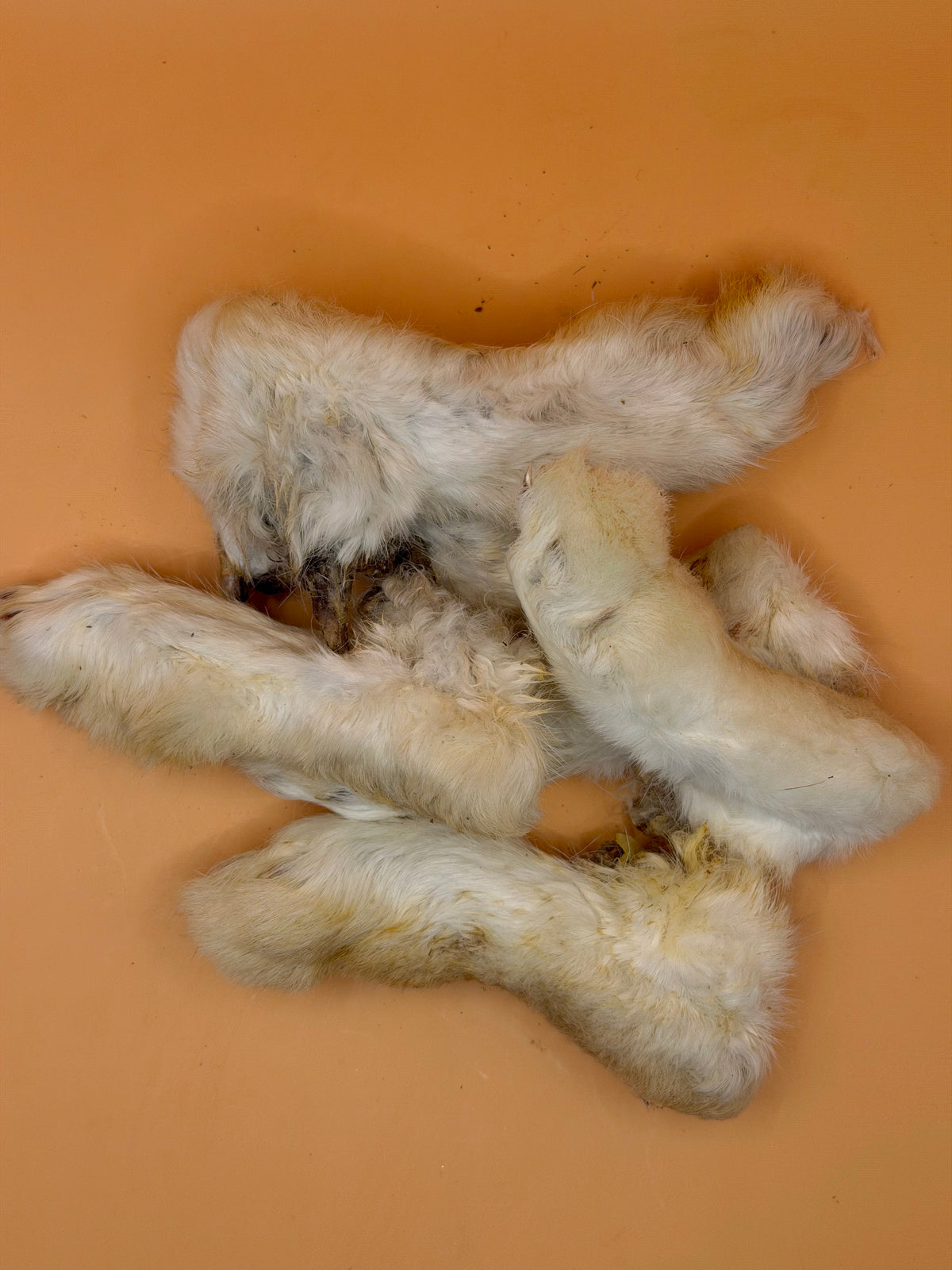 Rabbit feet with fur 250 g by BRUUN, photo 2