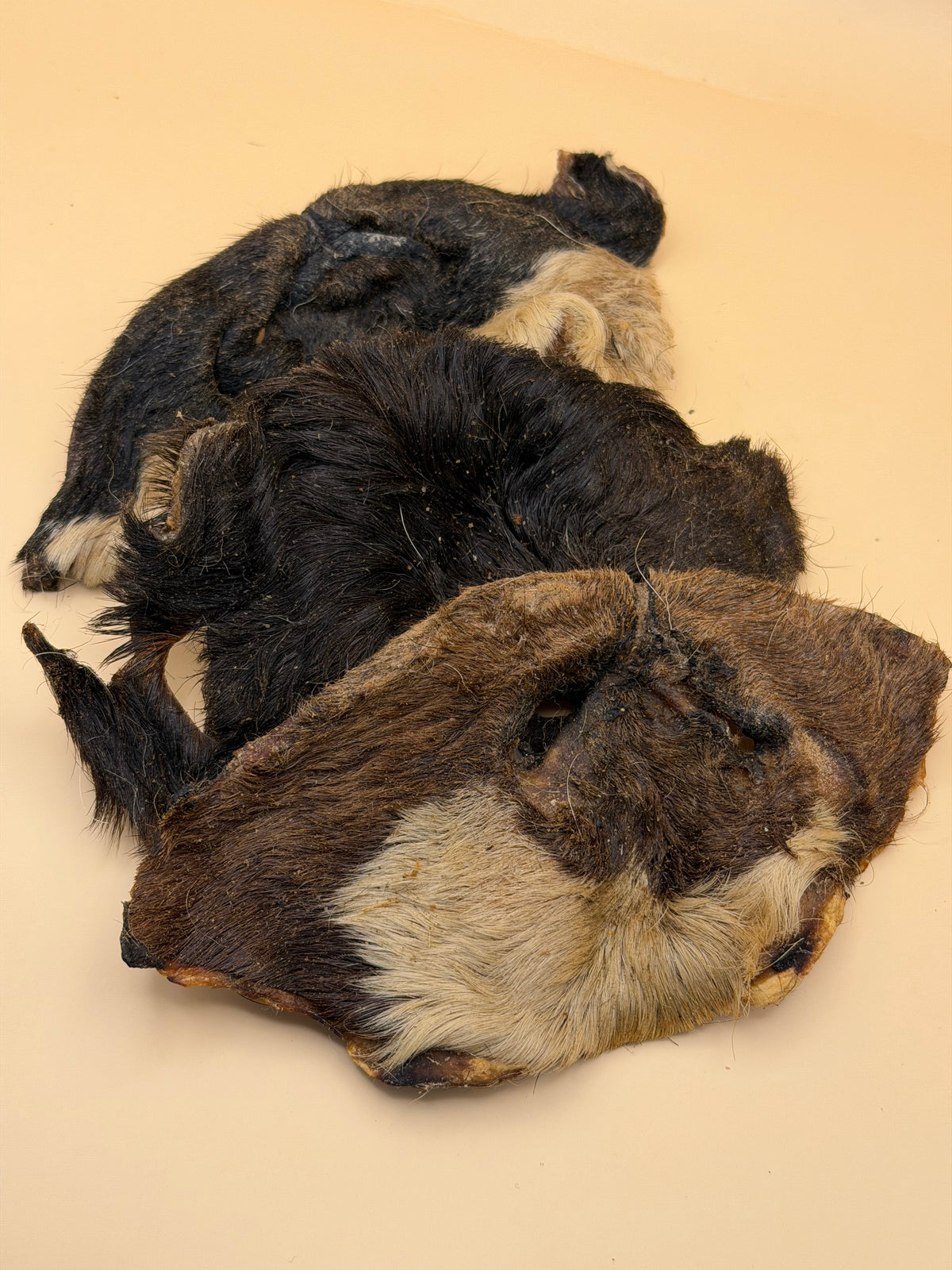 Lamsneusjes met vacht 5 stuks