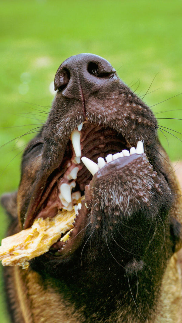 @kirademalinois